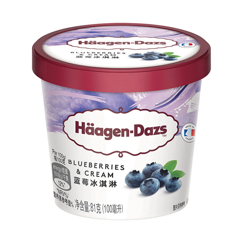Häagen-Dazs哈根达斯 蓝莓冰淇淋81克(100毫升)